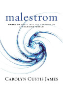 Cover of Malestrom: Manhood Swept into the Currents of a Changing World. 
