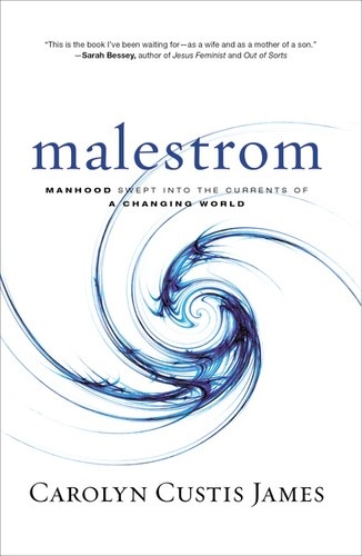 Malestrom: Manhood Swept into the Currents of a Changing World by Carolyn Custis James