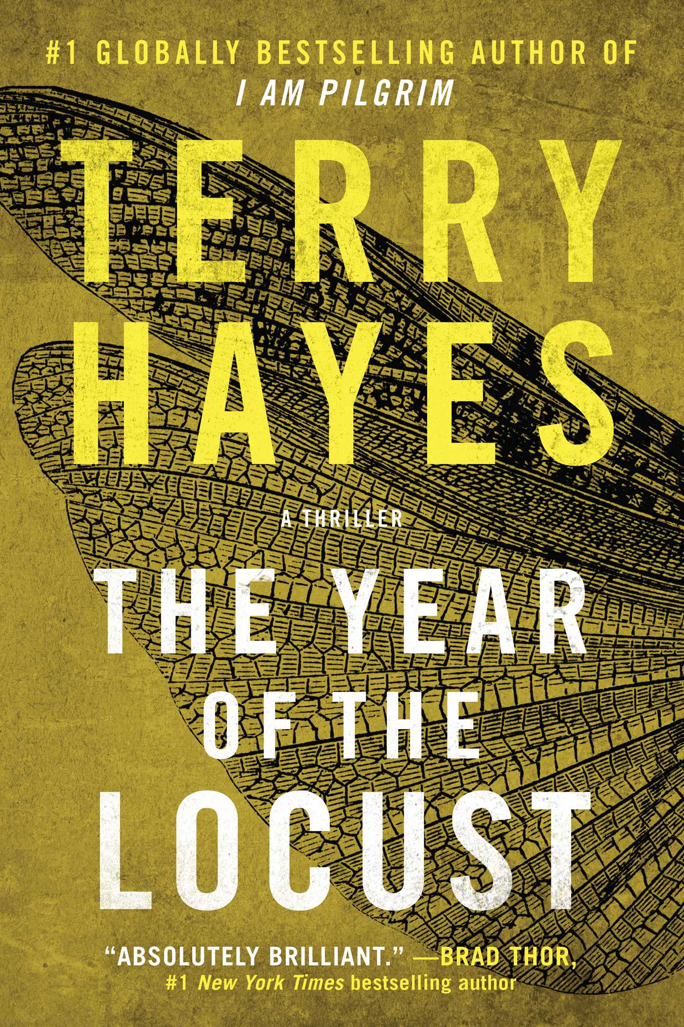 The Year of the Locust by Terry Hayes