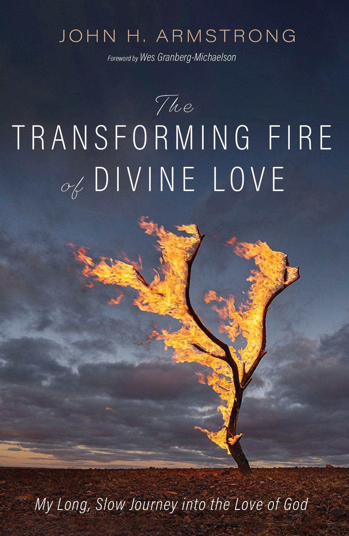 Cover of The Transforming Fire of Divine Love. 